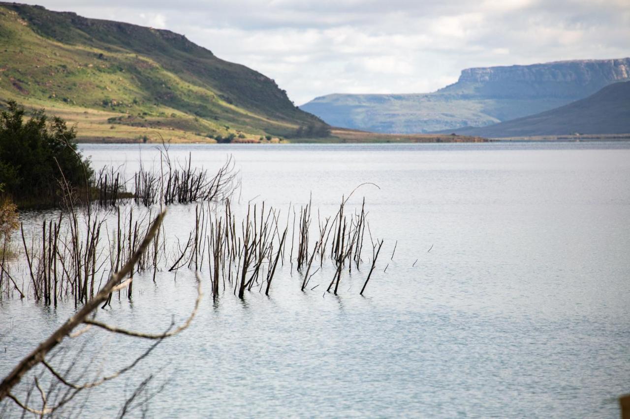 Wild Horses alojamiento Harrismith Exterior foto