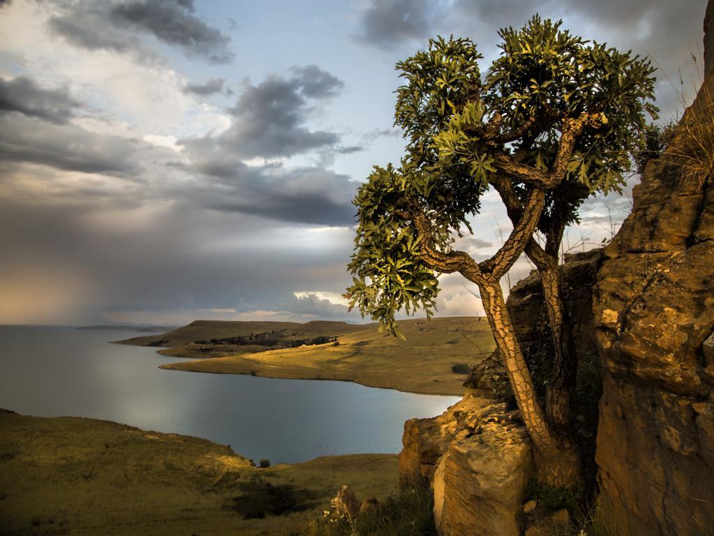 Wild Horses alojamiento Harrismith Exterior foto